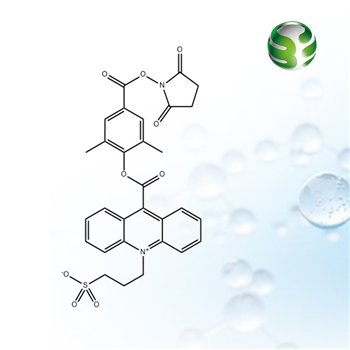 吖啶酯Intlus-B01（NSP-DMAE-NHS）